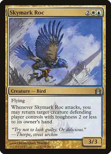 Skymark Roc - rtr Spoiler