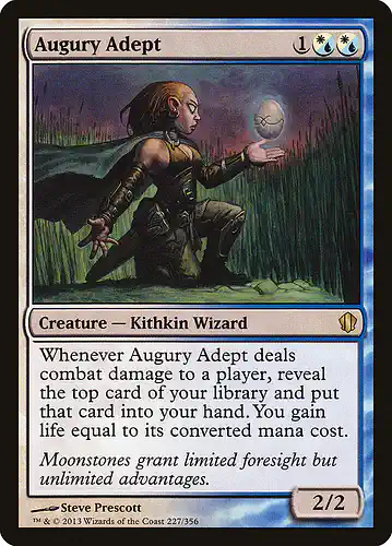 Augury Adept - c13 Spoiler