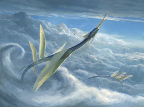 MTG Guide to Dimir Yorion Control in Pioneer