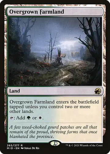 Overgrown Farmland - mid Spoiler