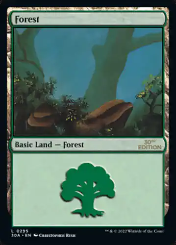 Forest - 30a Spoiler