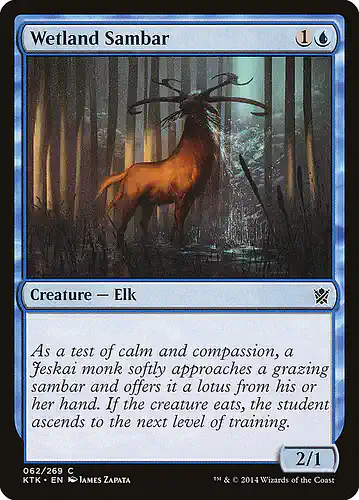 Wetland Sambar - ktk Spoiler