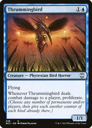 Thrummingbird - ncc Spoiler