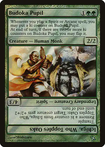 Budoka Pupil - bok Spoiler