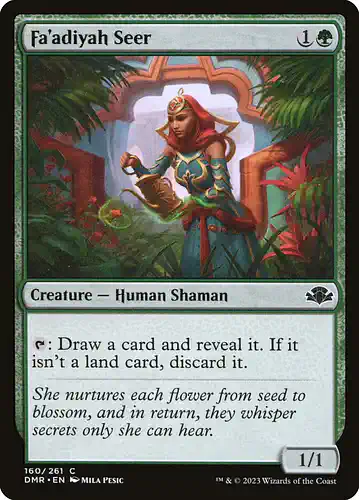 Fa'adiyah Seer - dmr Spoiler