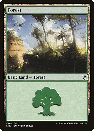 Forest - ktk Spoiler