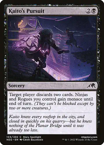 Kaito's Pursuit - neo Spoiler