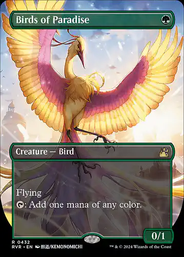 Birds of Paradise - rvr Spoiler