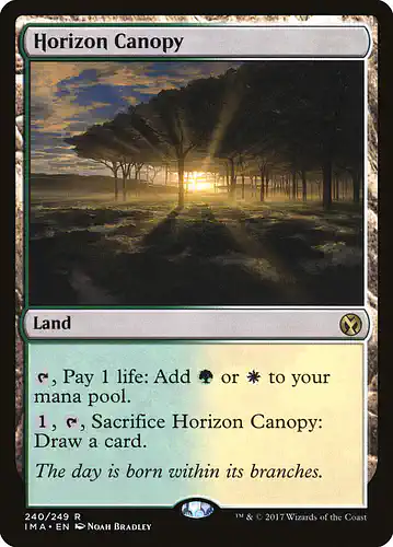 Horizon Canopy - ima Spoiler