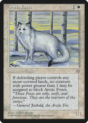 Arctic Foxes - ice Spoiler