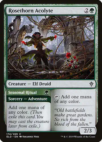 Rosethorn Acolyte - eld Spoiler