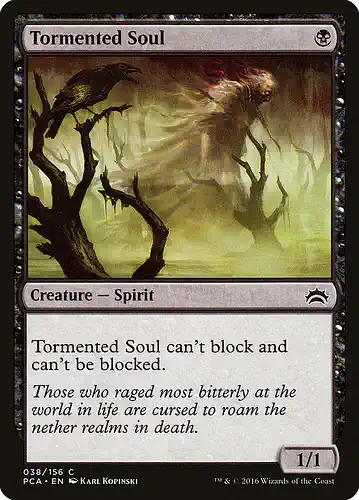Tormented Soul - pca Spoiler