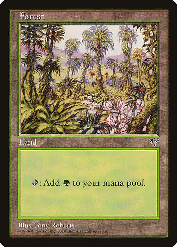 Forest - mir Spoiler