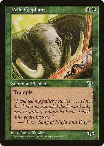 Wild Elephant - mir Spoiler