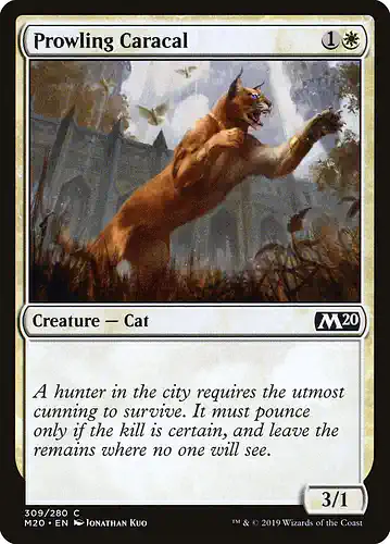 Prowling Caracal - m20 Spoiler