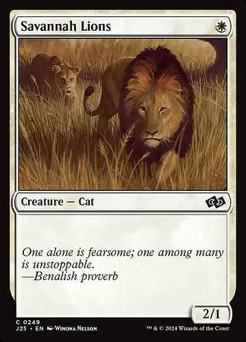 Savannah Lions - j25 Spoiler