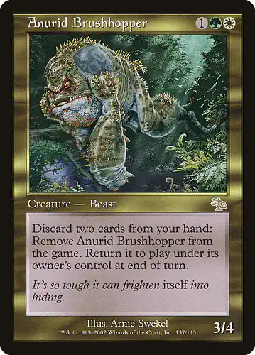 Anurid Brushhopper - jud Spoiler