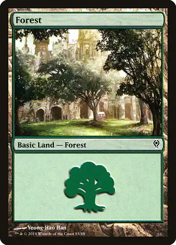 Forest - ddm Spoiler