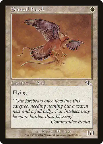 Suntail Hawk - jud Spoiler
