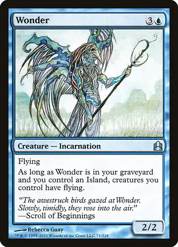 Wonder - cmd Spoiler