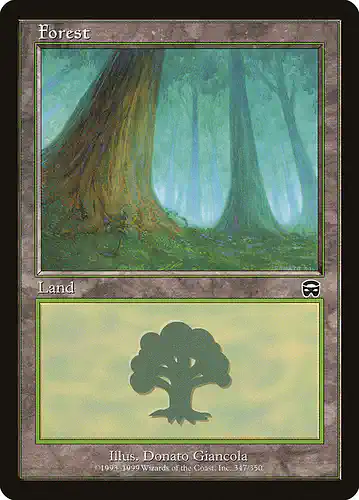 Forest - mmq Spoiler