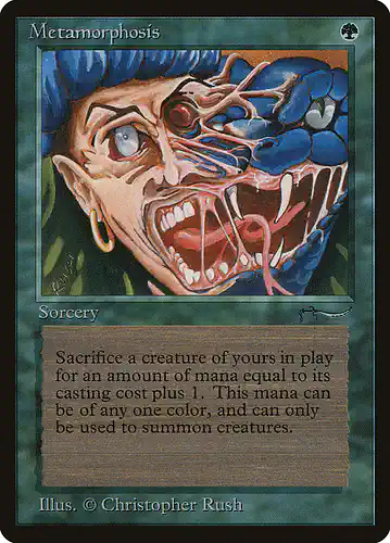 Metamorphosis - arn Spoiler