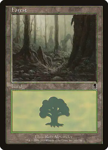 Forest - ody Spoiler