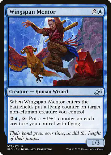 Wingspan Mentor - iko Spoiler