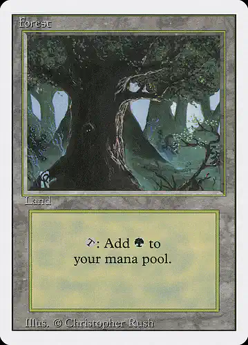 Forest - 3ed Spoiler