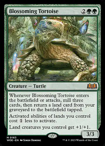Blossoming Tortoise - woe Spoiler
