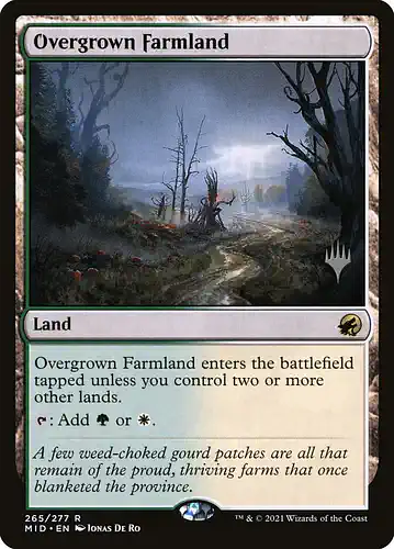 Overgrown Farmland - mid Spoiler