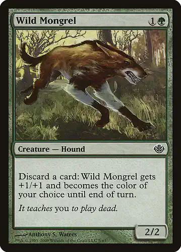 Wild Mongrel - ddd Spoiler