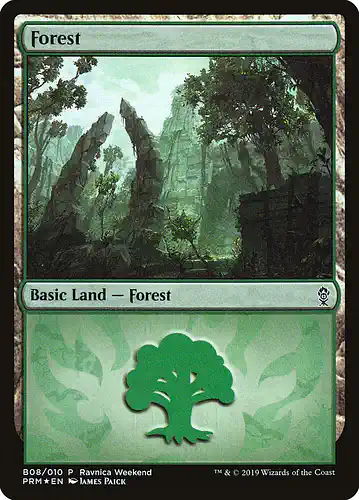 Forest - rna Spoiler