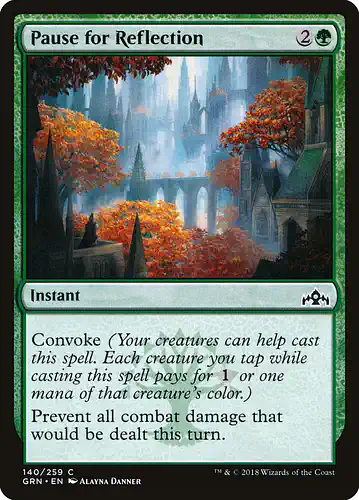 Pause for Reflection - grn Spoiler