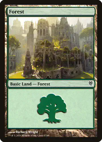 Forest - ddm Spoiler