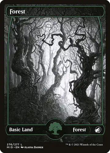 Forest - mid Spoiler