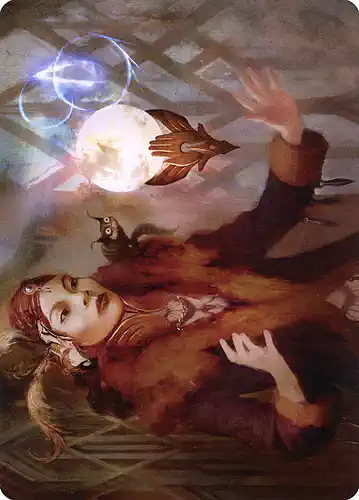 Misfortune Teller - snc Spoiler