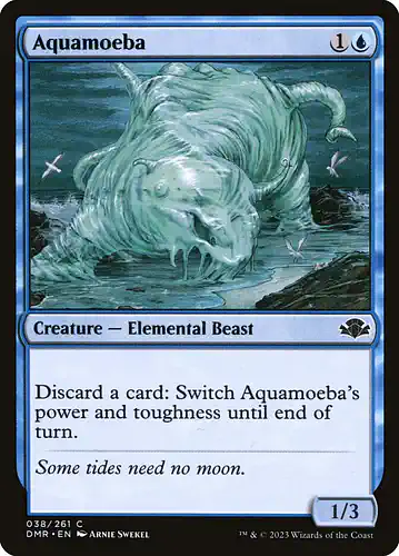 Aquamoeba - dmr Spoiler