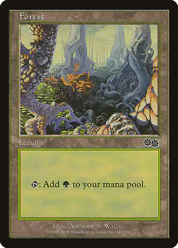 Forest - usg Spoiler