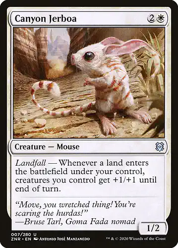 Canyon Jerboa - znr Spoiler