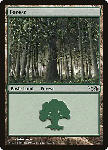 Forest - dd1 Spoiler