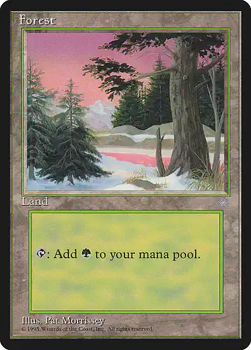 Forest - ice Spoiler