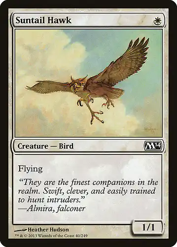 Suntail Hawk - m14 Spoiler