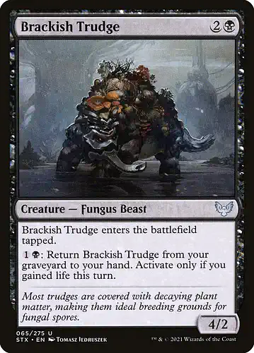 Brackish Trudge - stx Spoiler