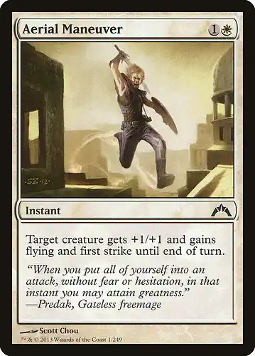 Aerial Maneuver - gtc Spoiler