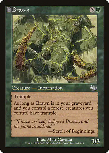 Brawn - jud Spoiler
