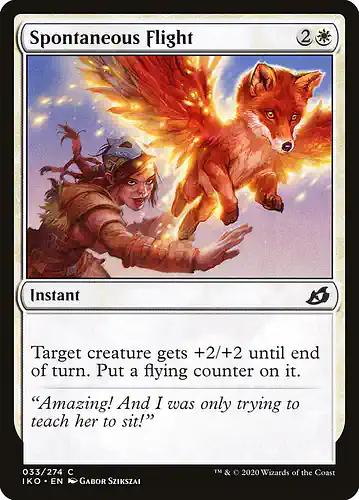Spontaneous Flight - iko Spoiler