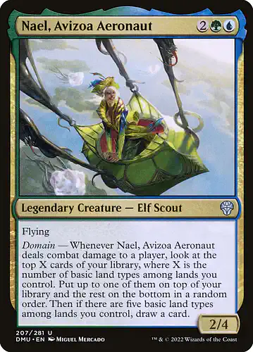 Nael, Avizoa Aeronaut - dmu Spoiler