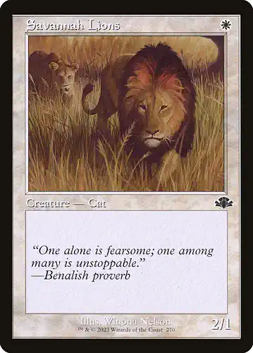 Savannah Lions - dmr Spoiler