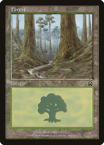 Forest - mmq Spoiler